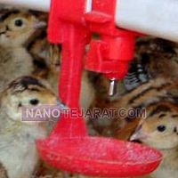 آبخوری  نیپل آبخوری  نیپل